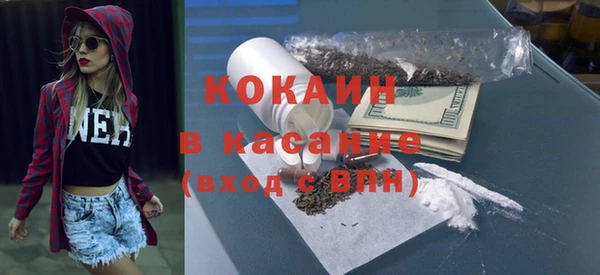 spice Богородицк