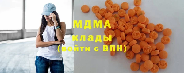 spice Богородицк