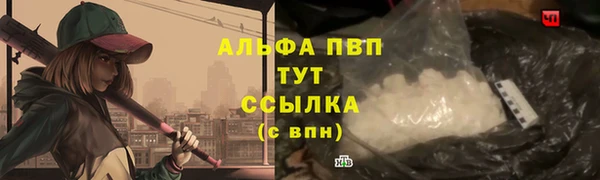 spice Богородицк
