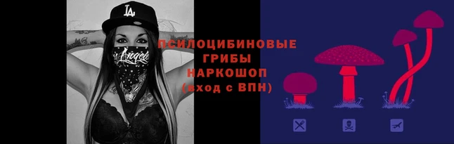 spice Богородицк
