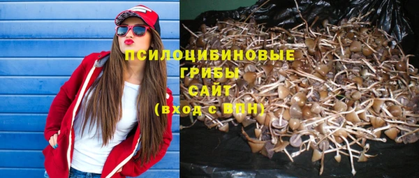 хмурый Богданович