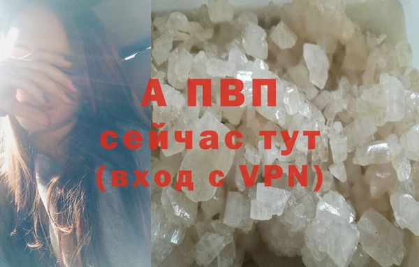 хмурый Богданович