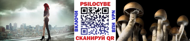 Псилоцибиновые грибы Cubensis  Мезень 